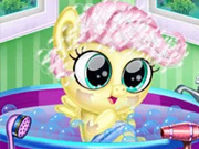 Tehotný kôň Skontrolujte na Up